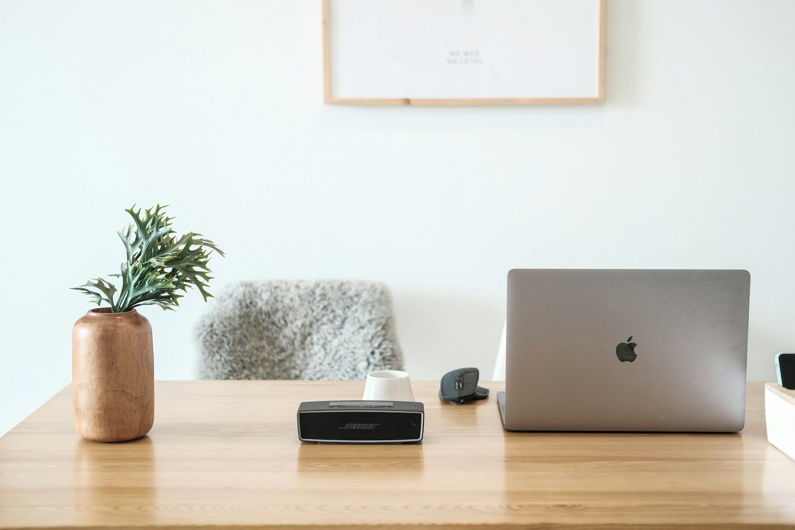 Un bureau épuré avec un ordinateur portable et une plante